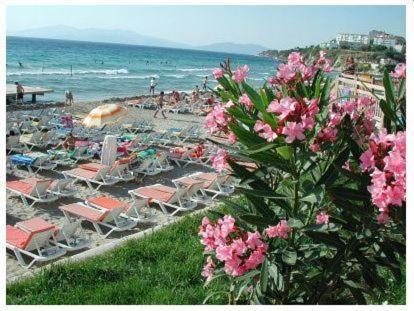 Rosy Hotel Kusadası Exteriör bild